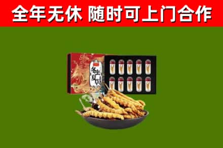 李沧烟酒回收冬虫夏草礼盒.jpg